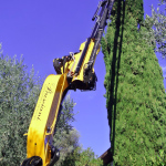 Gru cingolata - Effer 525 - Cestello per taglio alberi